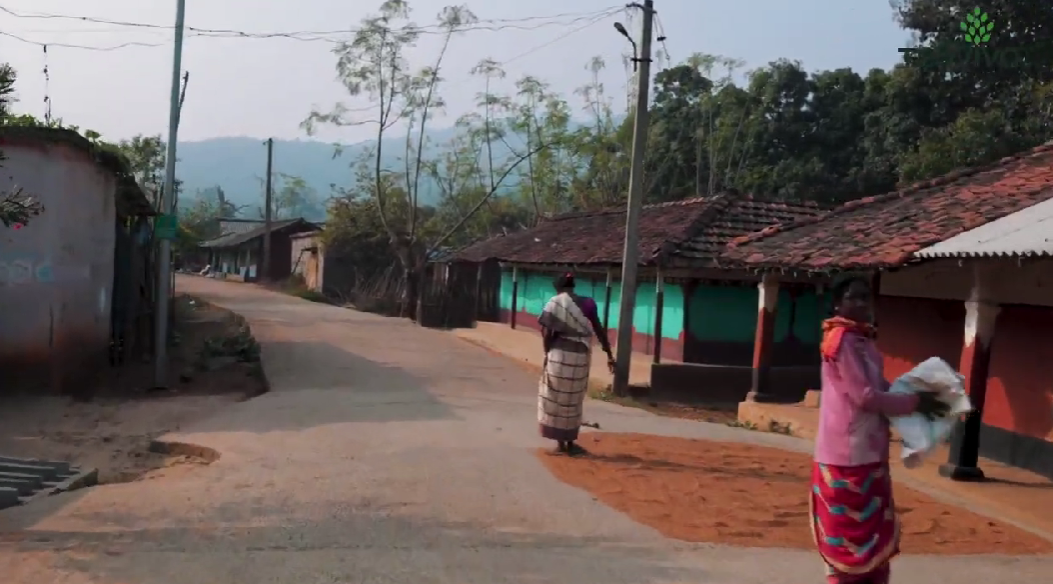 Indian Restaurant NXT